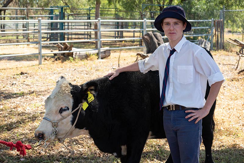 josh with cow